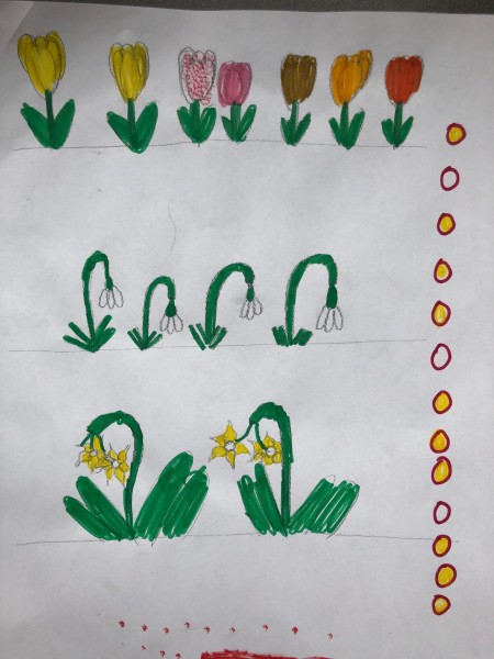 image7