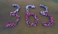 Dron 363 (8 z 15)