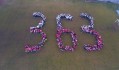 Dron 363 (7 z 15)