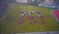 Dron 363 (5 z 15) bis
