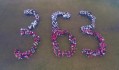 Dron 363 (15 z 15)