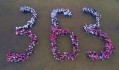 Dron 363 (9 z 15)