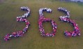 Dron 363 (3 z 15)
