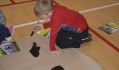 Image13