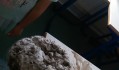 IMAG0512